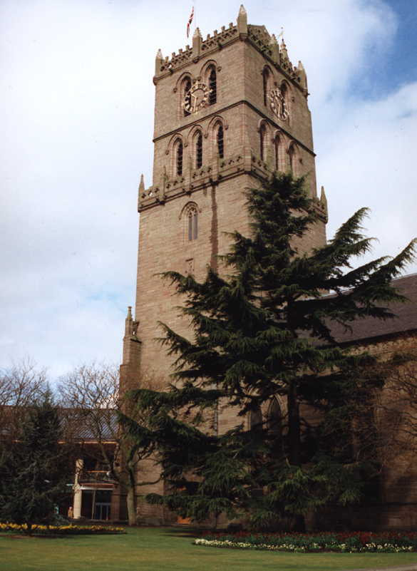 Medieval Dundee & the Story of the Stones