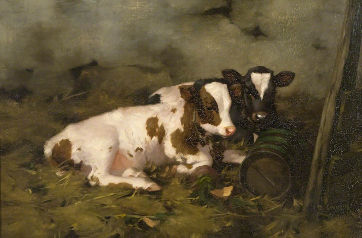 Calves (c.1900), oil on canvas by David Gauld (1867-1936)