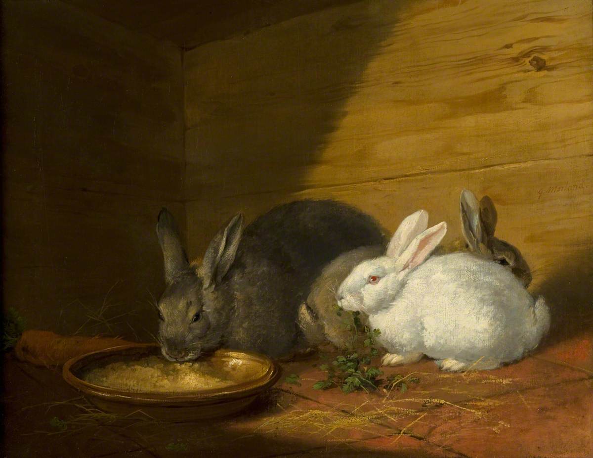 Rabbits, oil on canvas by George Morland (1763-1804)